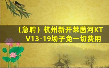 安庆夜场招聘